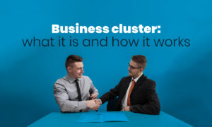 Business cluster